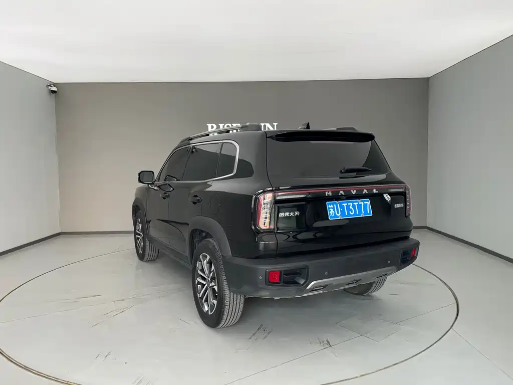 Haval Haval Big Dog 2024 1.5T DCT Border Collie Edition 2023 - thumbnail 10