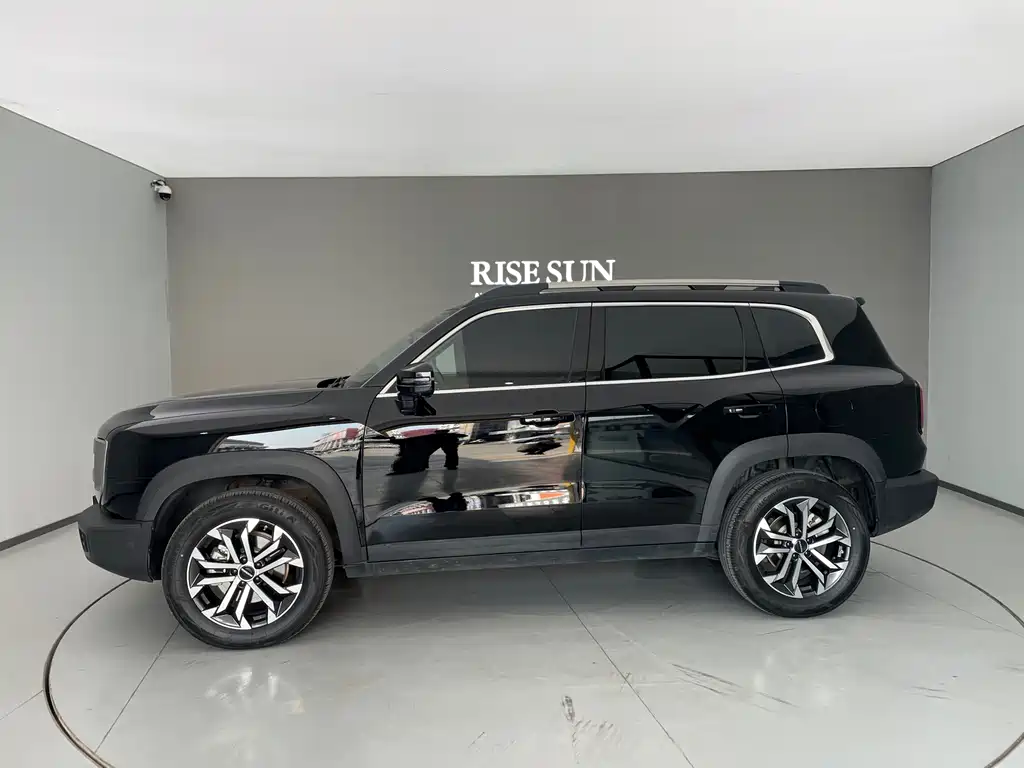 Haval Haval Big Dog 2024 1.5T DCT Border Collie Edition 2023 - thumbnail 11