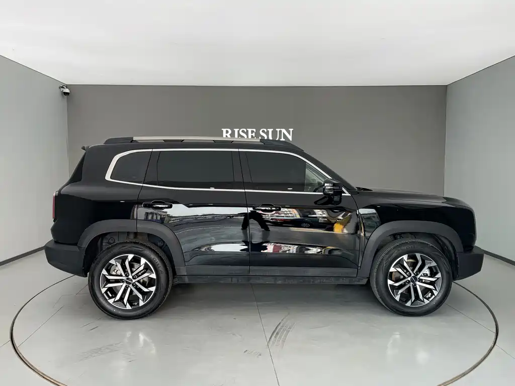 Haval Haval Big Dog 2024 1.5T DCT Border Collie Edition 2023 - thumbnail 12