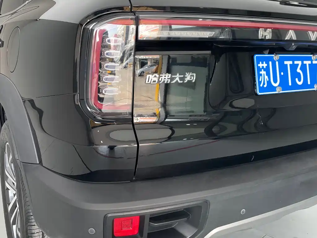 Haval Haval Big Dog 2024 1.5T DCT Border Collie Edition 2023 - thumbnail 13