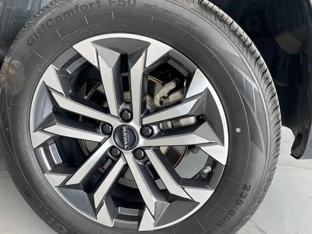 Haval Haval Big Dog 2024 1.5T DCT Border Collie Edition 2023 - thumbnail 14
