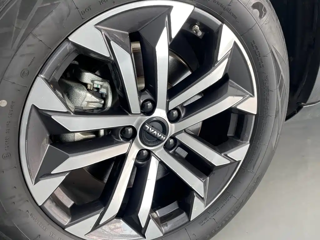 Haval Haval Big Dog 2024 1.5T DCT Border Collie Edition 2023 - thumbnail 15