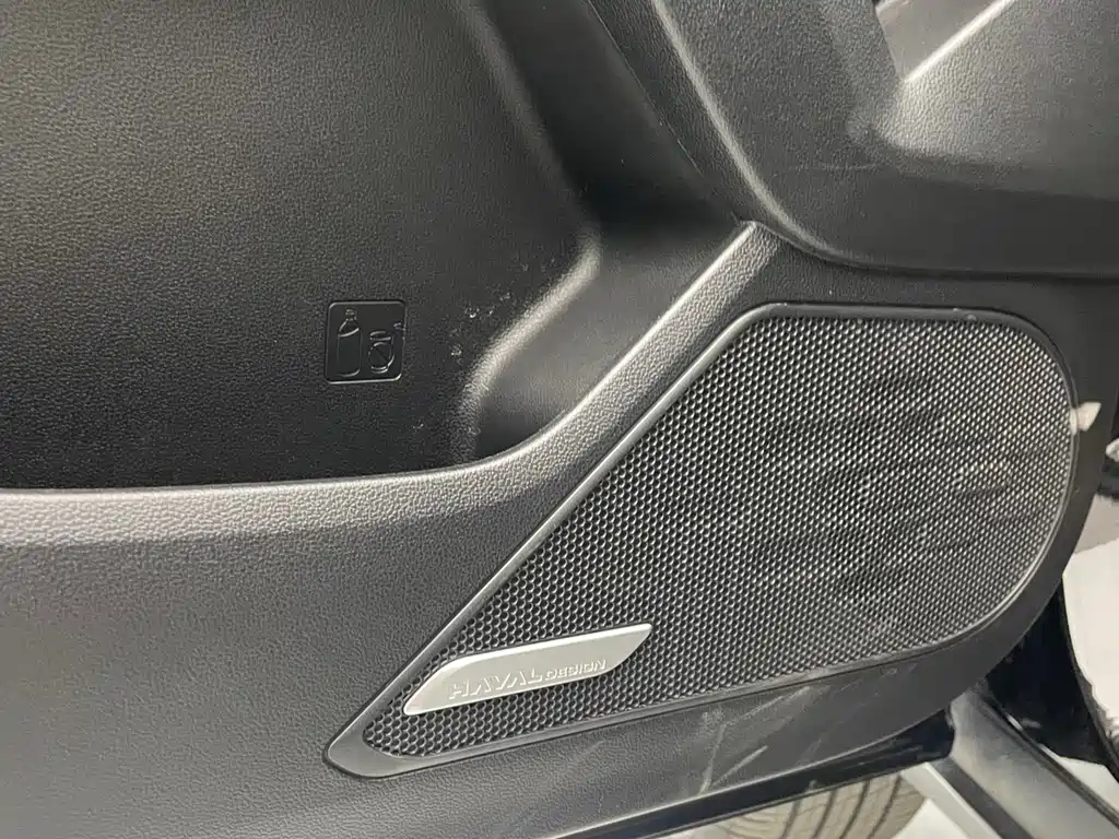 Haval Haval Big Dog 2024 1.5T DCT Border Collie Edition 2023 - thumbnail 19