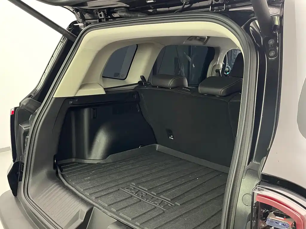 Haval Haval Big Dog 2024 1.5T DCT Border Collie Edition 2023 - thumbnail 21