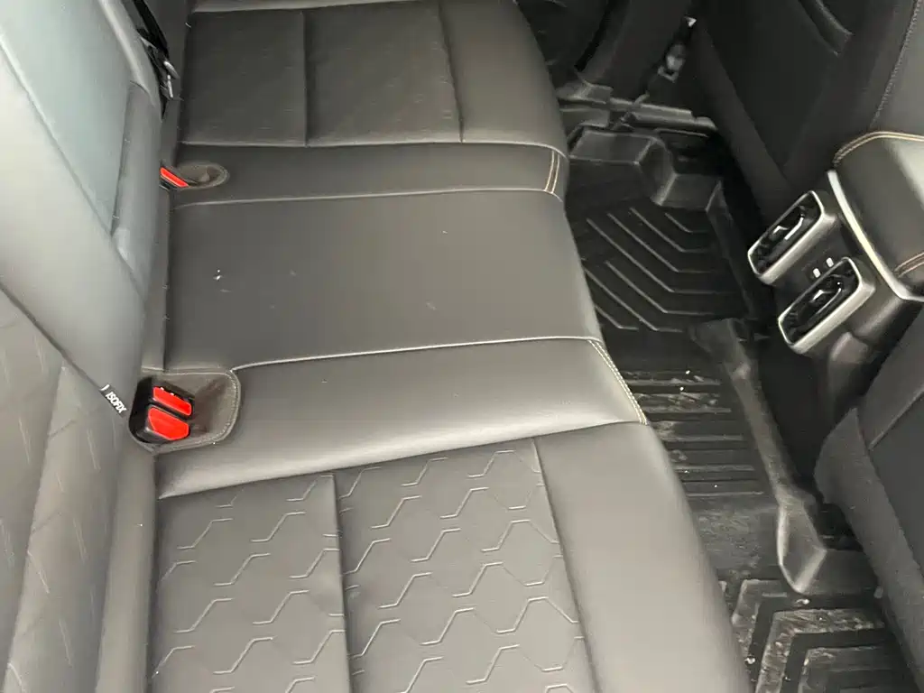 Haval Haval Big Dog 2024 1.5T DCT Border Collie Edition 2023 - thumbnail 23