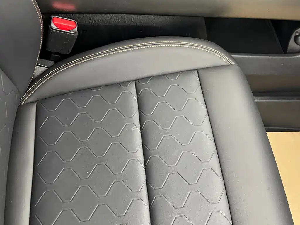 Haval Haval Big Dog 2024 1.5T DCT Border Collie Edition 2023 - thumbnail 26
