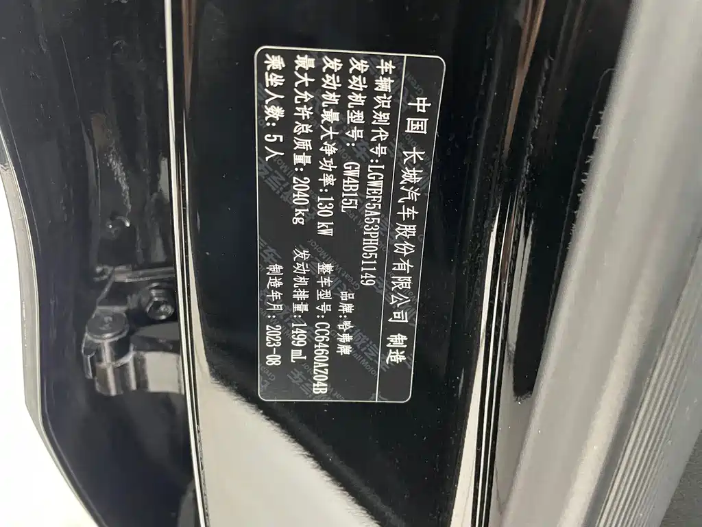 Haval Haval Big Dog 2024 1.5T DCT Border Collie Edition 2023 - thumbnail 27