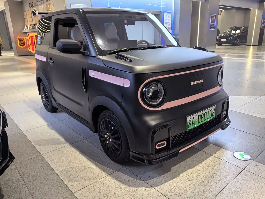 Geely Galaxy Panda 2024 Model 200km Panda Kart 2025