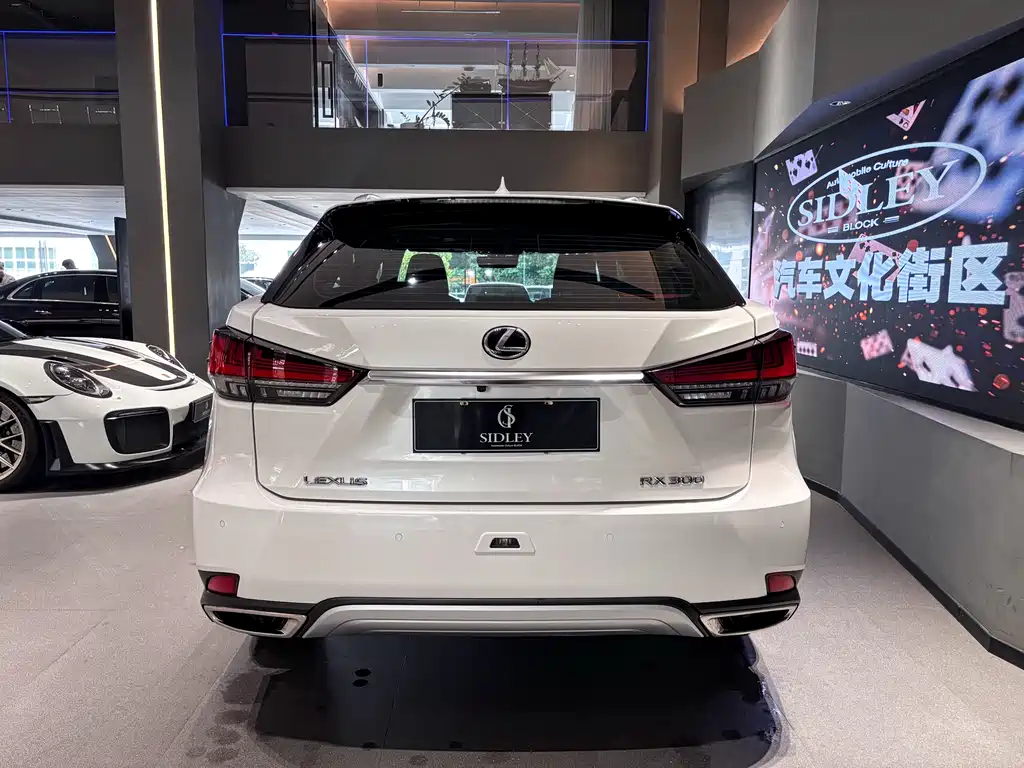Lexus Lexus RX 300 F Sport AWD 2020 Model VI 2020 - thumbnail 5