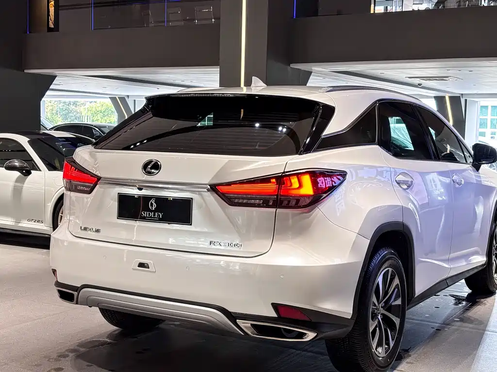 Lexus Lexus RX 300 F Sport AWD 2020 Model VI 2020 - thumbnail 22