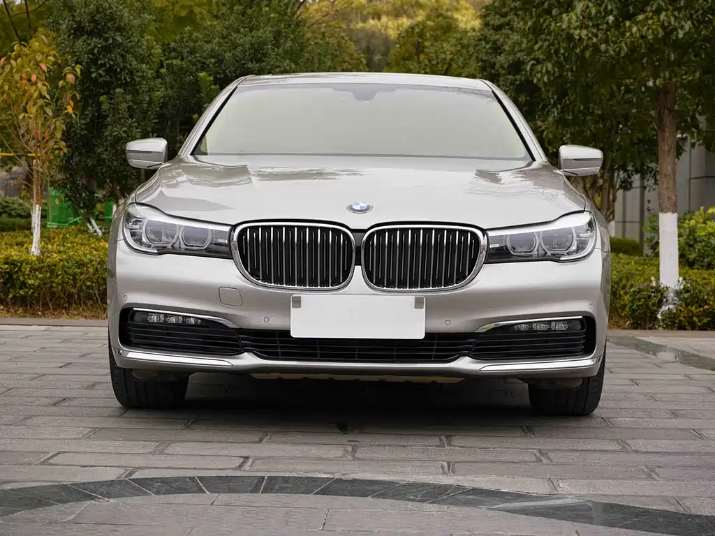 BMW BMW 7 Series 2016 730Li Leading Edition 2017 - thumbnail 6