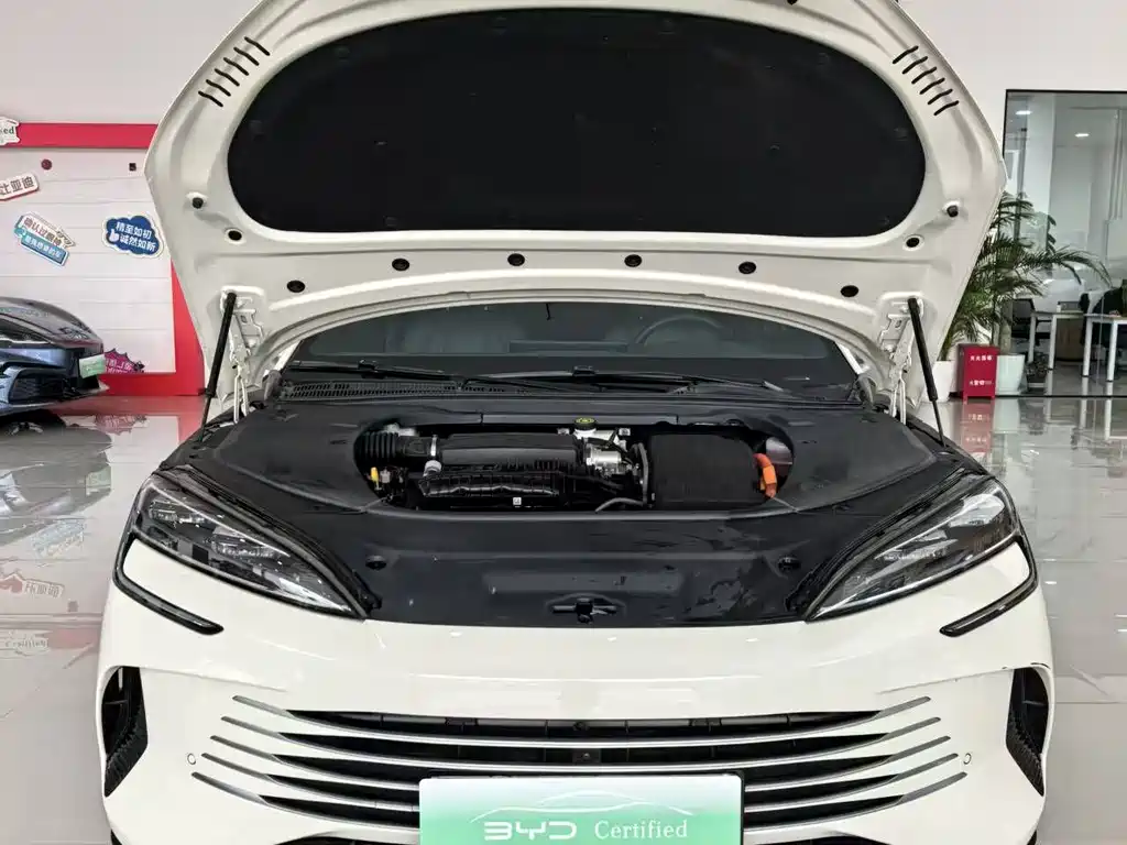 BYD BYD Seal 2024 Premium Edition DM-i 1.5L 121km Luxury Model 2024 - thumbnail 5
