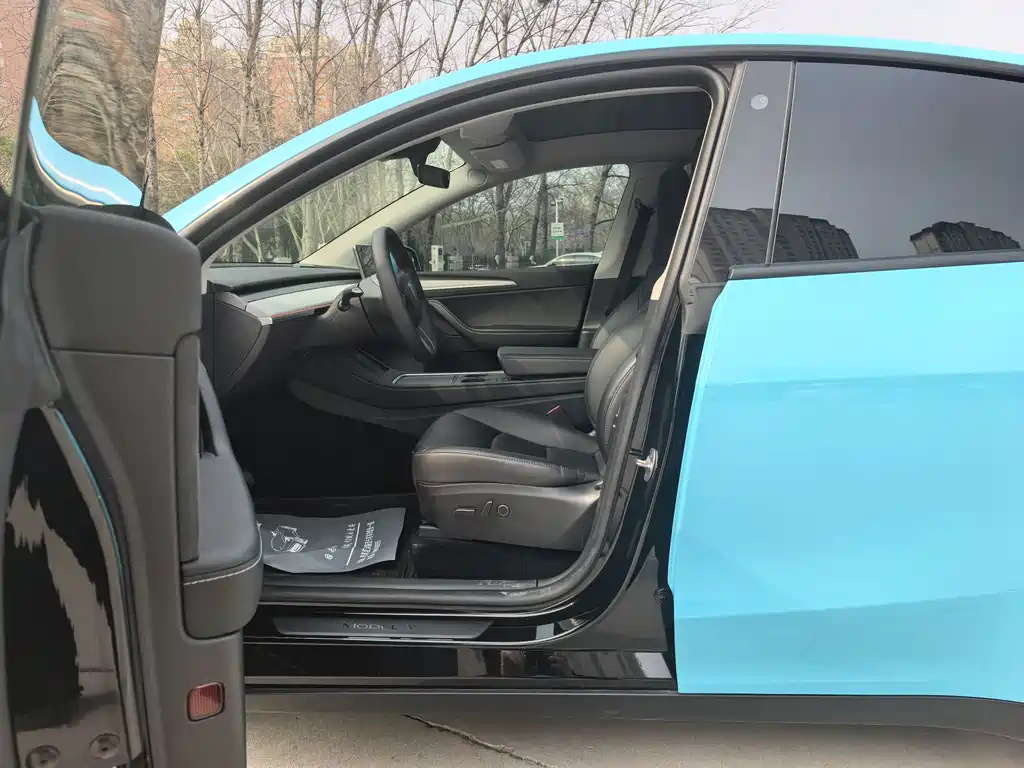 Tesla Model Y 2023 Rear-Wheel Drive 2024 - thumbnail 10