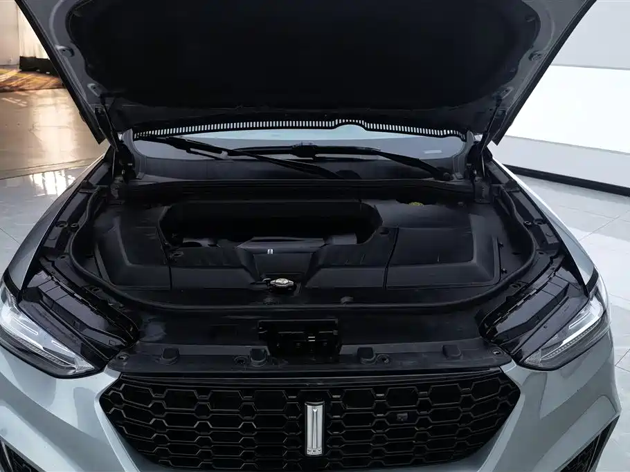 Wey WEY VV6 2018 2.0T 2WD Luxury Edition China V 2019 - thumbnail 10