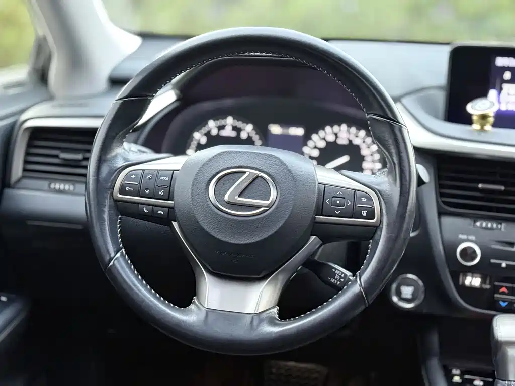 Lexus Lexus RX 300 2016 FWD Premium Edition China V 2017 - thumbnail 11