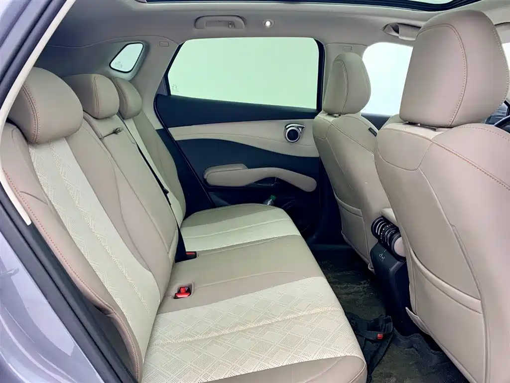 BYD (BYD Auto) Yuan PLUS 2025 Intelligent Drive 510KM Beyond Edition 2025 - thumbnail 14