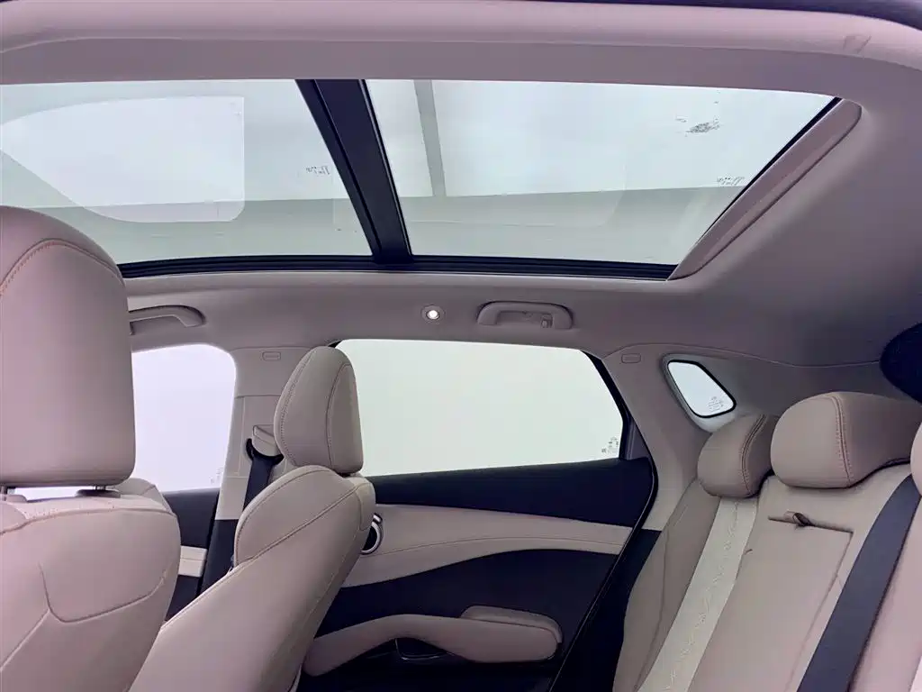 BYD (BYD Auto) Yuan PLUS 2025 Intelligent Drive 510KM Beyond Edition 2025 - thumbnail 25