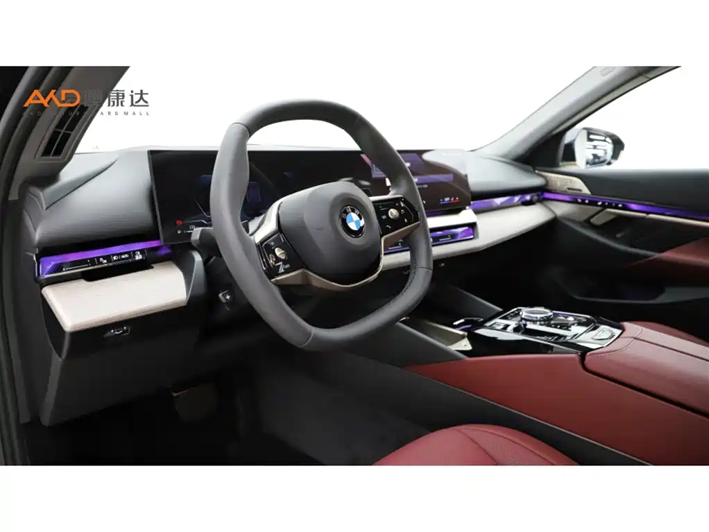 BMW BMW 530Li 2.0T 24th Year Luxury Package 2025 - thumbnail 6