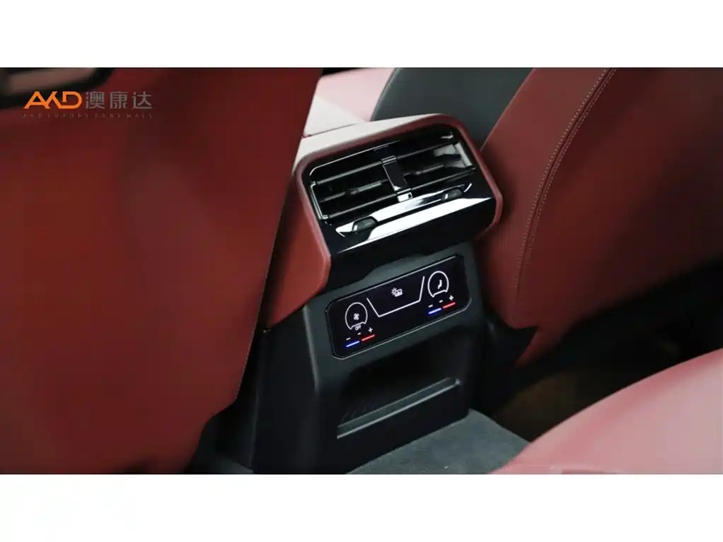 BMW BMW 530Li 2.0T 24th Year Luxury Package 2025 - thumbnail 9