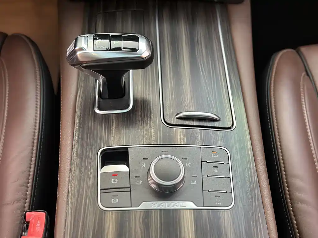 Haval Haval H9 2017 2.0T Gasoline AWD Premium 7-seater 2018 - thumbnail 11