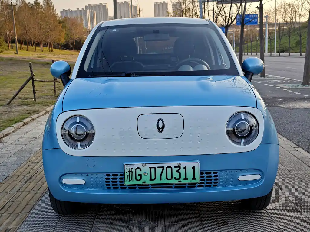 Ora ORA Black Cat 2022 301km Base Model Ternary Lithium 2021 - thumbnail 2