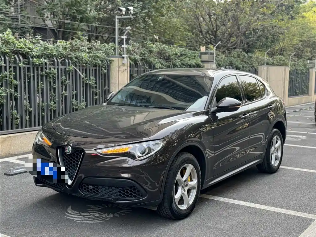 Alfa Romeo Alfa Romeo Stelvio 2017 2.0T 200HP Luxury Edition 2019 - thumbnail 2