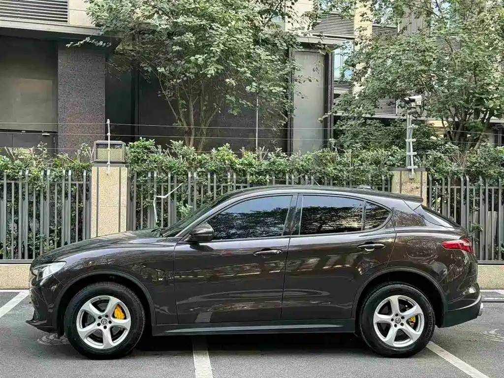 Alfa Romeo Alfa Romeo Stelvio 2017 2.0T 200HP Luxury Edition 2019 - thumbnail 3
