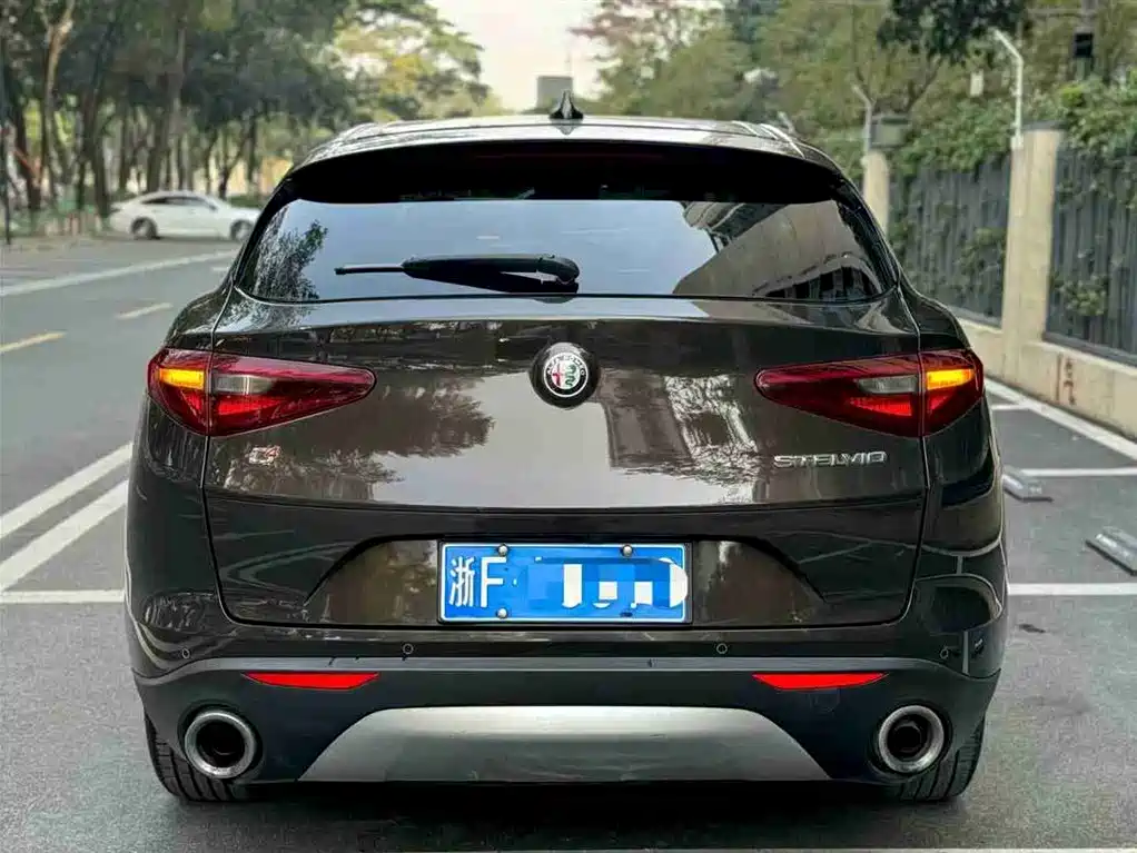 Alfa Romeo Alfa Romeo Stelvio 2017 2.0T 200HP Luxury Edition 2019 - thumbnail 5
