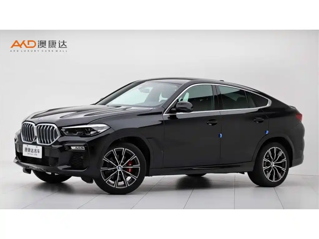 BMW BMW X6 2020 xDrive30i M Sport Package 2021