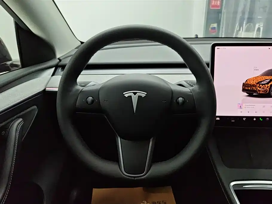 Tesla Model Y 2024 Rear-Wheel Drive 2024 - thumbnail 15