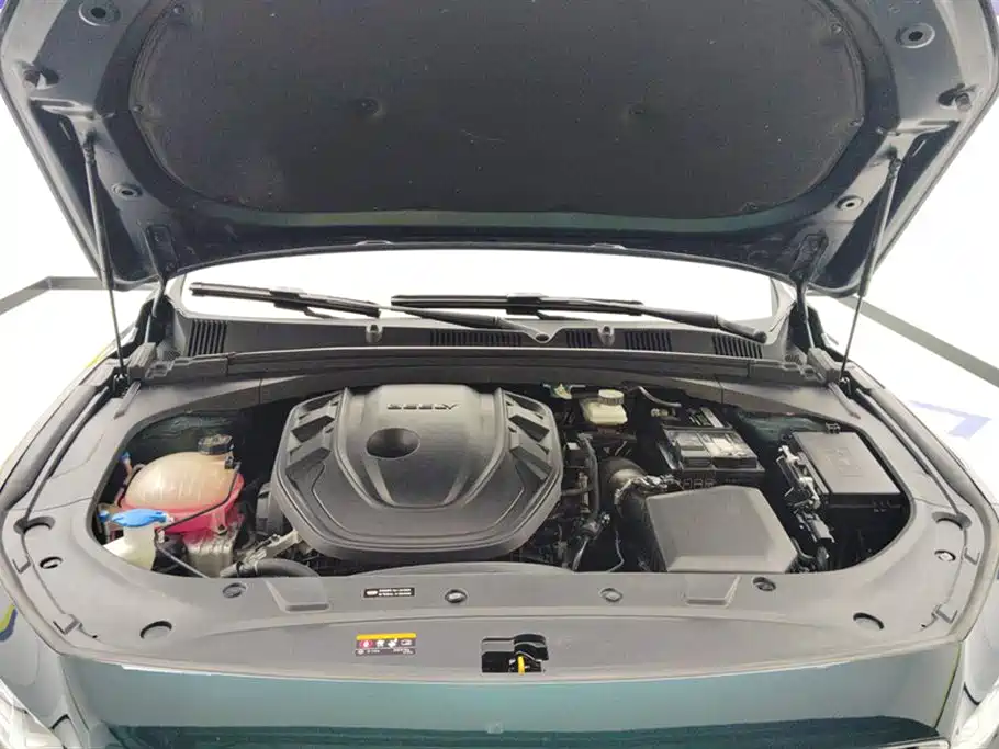 Geely Auto Geely Starray 2023 2.0TD Cyan Edition 2023 - thumbnail 10