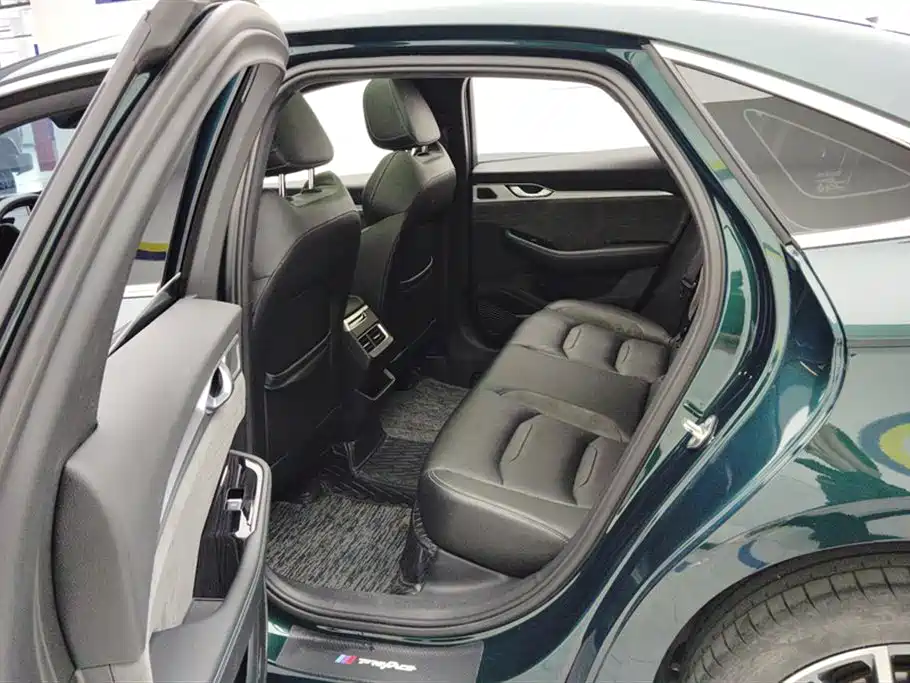 Geely Auto Geely Starray 2023 2.0TD Cyan Edition 2023 - thumbnail 11