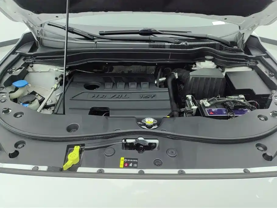Haval Haval M6 2019 1.5T DCT 2WD Premium Edition National VI 2020 - thumbnail 9