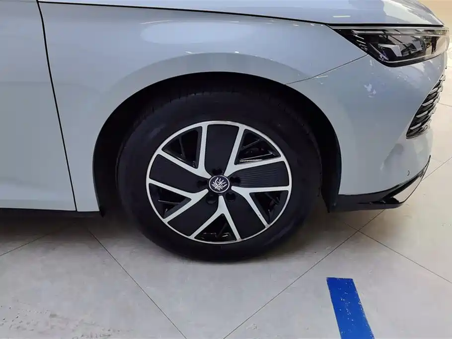 BYD BYD Qin L 2024 DM-i 80KM Premium Model 2024 - thumbnail 6