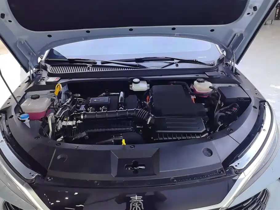 BYD BYD Qin L 2024 DM-i 80KM Premium Model 2024 - thumbnail 10