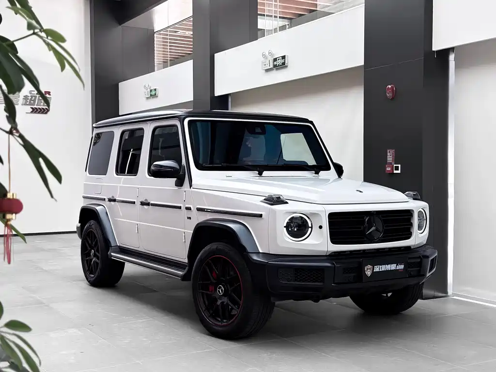 Mercedes-Benz Mercedes-Benz G-Class 2024 G 500 Heritage Edition 2023 - thumbnail 6