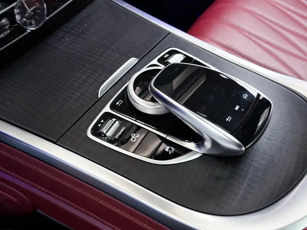 Mercedes-Benz Mercedes-Benz G-Class 2024 G 500 Heritage Edition 2023 - thumbnail 19