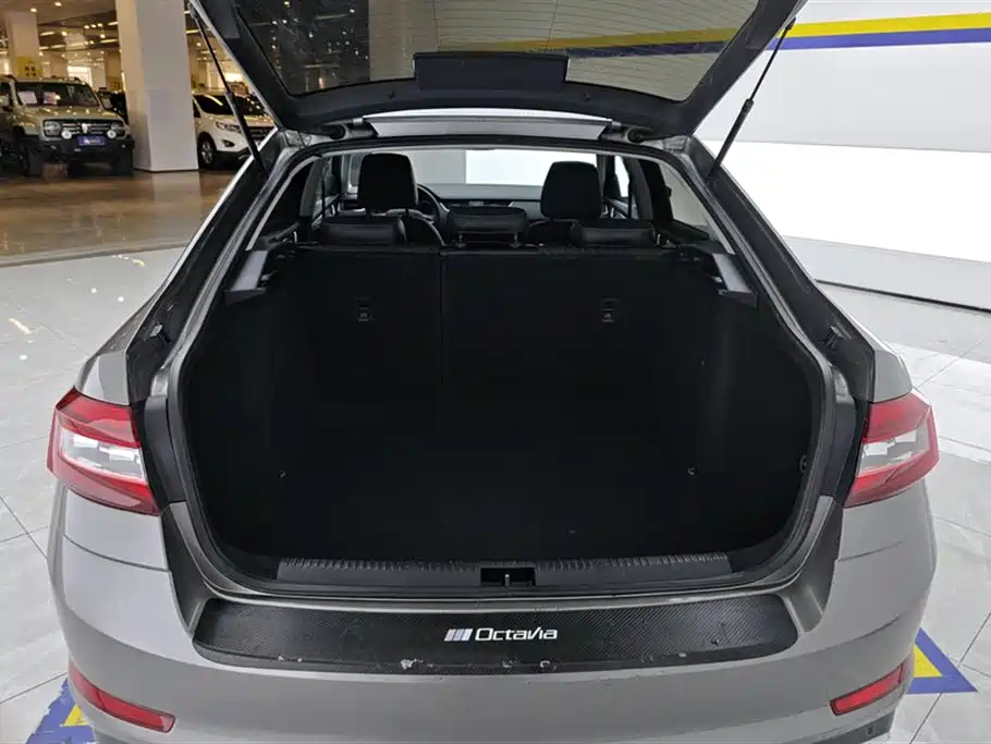 Skoda Škoda Octavia 2019 1.5L Automatic Luxury Edition Euro VI 2021 - thumbnail 4