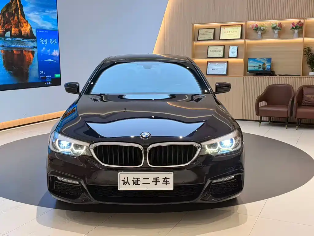 BMW BMW 5 Series 2018 530Li Leading Model Luxury Package 2018 - thumbnail 2