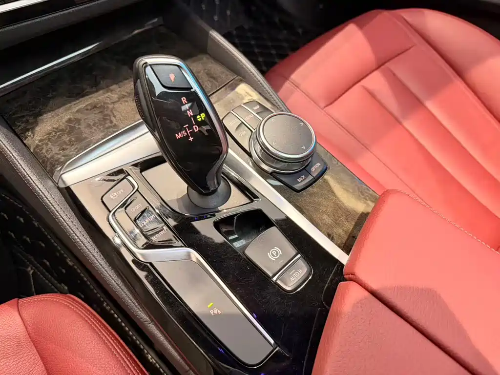 BMW BMW 5 Series 2018 530Li Leading Model Luxury Package 2018 - thumbnail 8