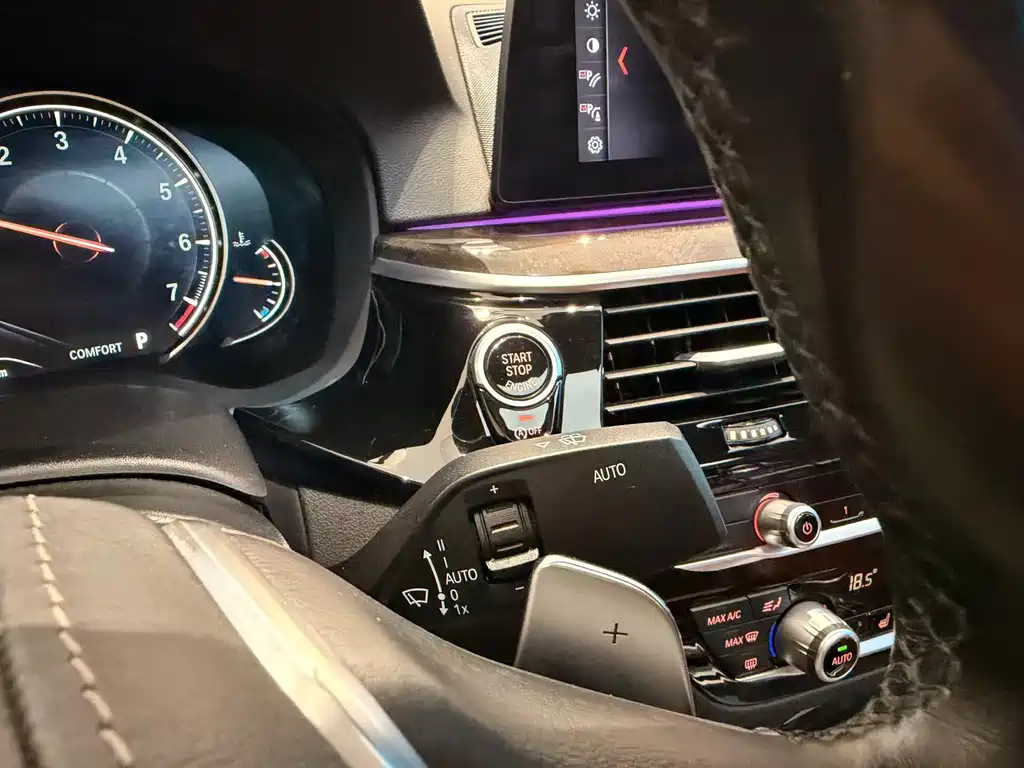 BMW BMW 5 Series 2018 530Li Leading Model Luxury Package 2018 - thumbnail 9