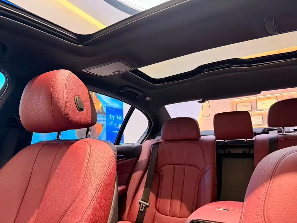 BMW BMW 5 Series 2018 530Li Leading Model Luxury Package 2018 - thumbnail 12