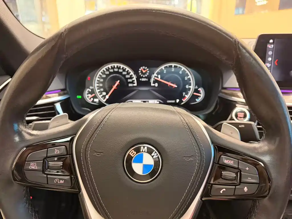 BMW BMW 5 Series 2018 530Li Leading Model Luxury Package 2018 - thumbnail 14