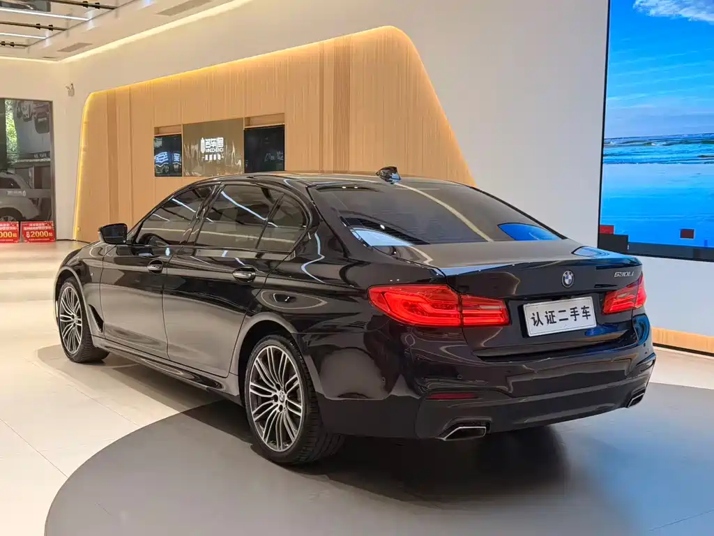 BMW BMW 5 Series 2018 530Li Leading Model Luxury Package 2018 - thumbnail 19