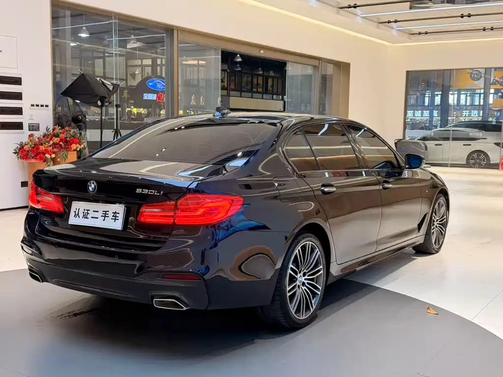 BMW BMW 5 Series 2018 530Li Leading Model Luxury Package 2018 - thumbnail 23