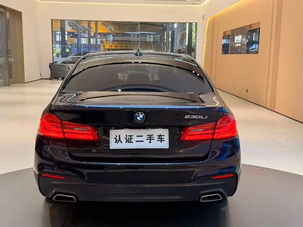 BMW BMW 5 Series 2018 530Li Leading Model Luxury Package 2018 - thumbnail 24