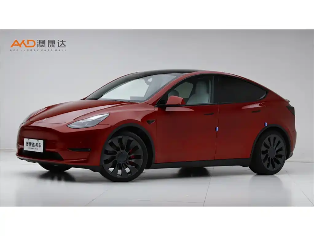 Tesla Tesla Model Y 2021 Performance AWD 2021