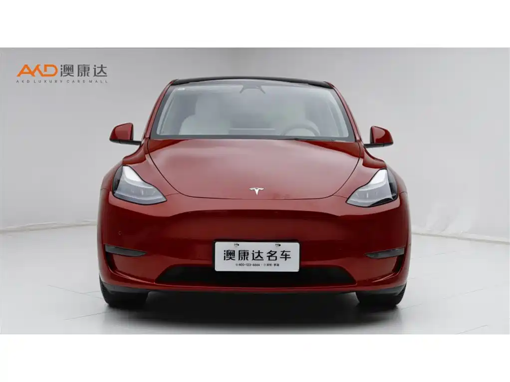 Tesla Tesla Model Y 2021 Performance AWD 2021 - thumbnail 2