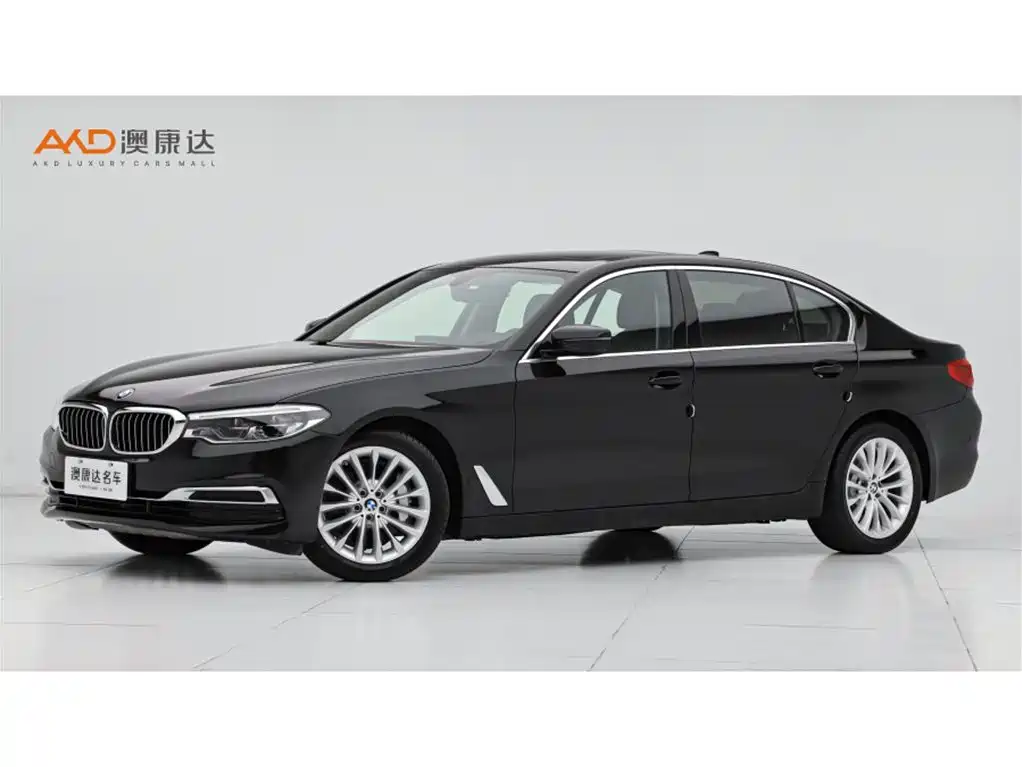 BMW BMW 5 Series 2020 530Li Luxury Package 2019