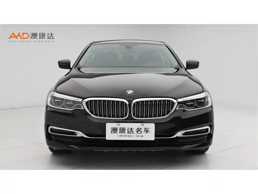 BMW BMW 5 Series 2020 530Li Luxury Package 2019 - thumbnail 2